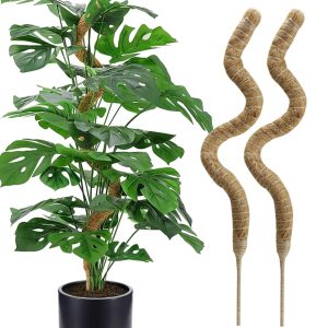 Bendable Moss Poles (Set of 2) – 60/70/120CM Climbing Plant Support for Monstera & Indoor Potted Plants